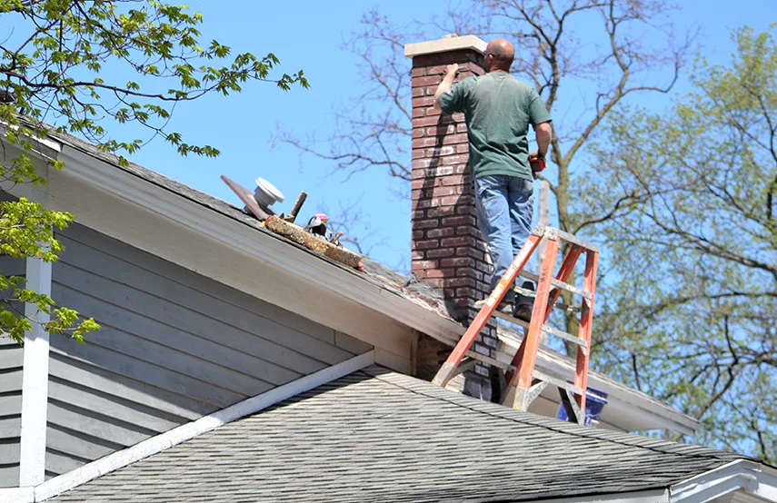 Chimney & Fireplace Inspections Services in Franconia, VA